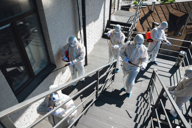 Best Basement Mold Removal  in Jupiter, FL