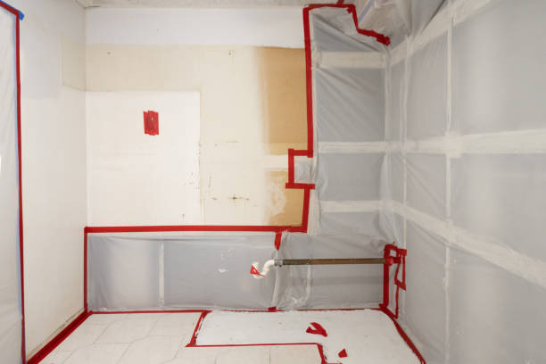 Best Airborne Mold Testing  in Jupiter, FL