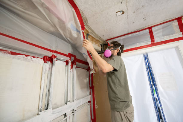 Best Real Estate Mold Inspection  in Jupiter, FL