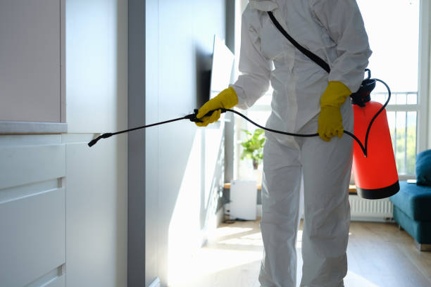 Best Emergency Mold Remediation  in Jupiter, FL