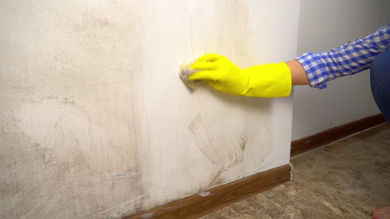 Best Flood Damage  in Jupiter, FL