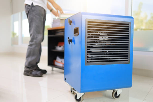 Best HVAC Mold Inspection and Cleaning  in Jupiter, FL
