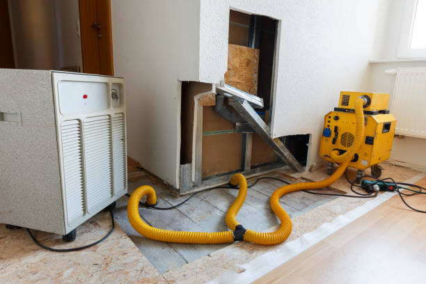Best Mold Remediation for Vacation Homes  in Jupiter, FL