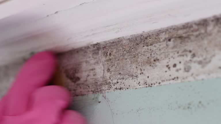 Best Indoor Air Quality Assessment  in Jupiter, FL